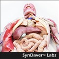 SynDaver Labs icon