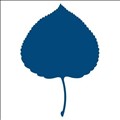 The Aspen Institute icon