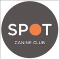 The SPOT Experience icon