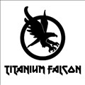 Titanium Falcon icon