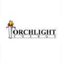 Torchlight Energy Resources icon