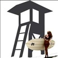 Tower Paddle Boards icon