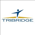 Tribridge icon