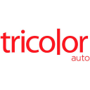 Tricolor icon