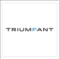 Triumfant icon