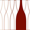 Vino Volo icon