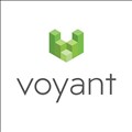 Voyant icon