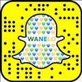 Wanelo icon