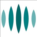 Wave Computing icon