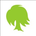 Willow icon