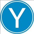 Y Scouts icon