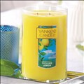 Yankee Candle Company icon