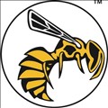 Yellow Jacket icon