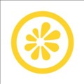 YUZU icon