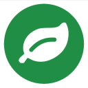 Rainforest QA icon