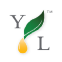 Youngliving icon