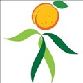 Wild Apricot icon
