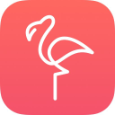 Flamingo Inc. icon