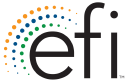 EFI icon