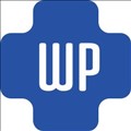 Audit WP icon