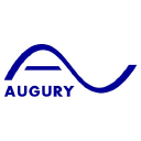 Augury icon