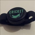 The Cricket icon
