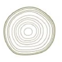 Beechwood Capital icon