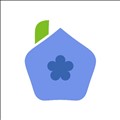 Blueberry icon