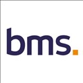 BMS Group icon
