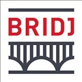 Bridj icon