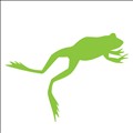 Bullfrog Power icon