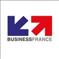 Business France icon