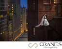 Chicago Wedding Photographer icon