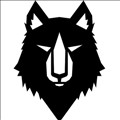 Data Wolf icon