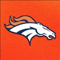Denver Broncos icon