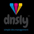 DNSly icon