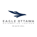 Eagle Ottawa icon