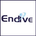 Endive Software icon