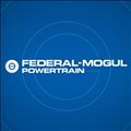 Federal Mogul Corporation icon