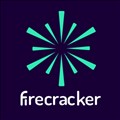 Firecracker icon