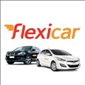 Flexicar icon