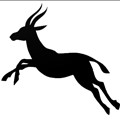 Gazelle Lab icon