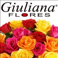 Giuliana Flores icon