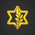 IDF icon