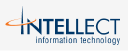Intellect information technology icon