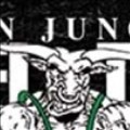 Iron jungle Supplements icon