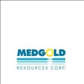 Medgold Resources icon