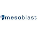 Mesoblast icon