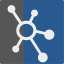 NetSupport icon