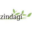 Zindagi icon